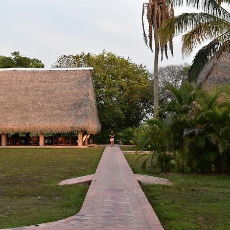 Savanna Orinoquia Lodge Orocué Kültér fotó