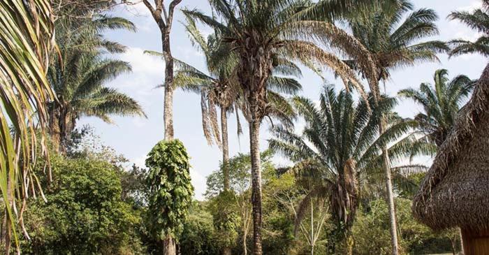 Savanna Orinoquia Lodge Orocué Kültér fotó